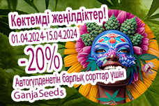 1 сәуірге дейін бірегей ұсынысты жіберіп алмаңыз!