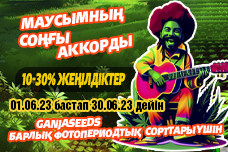 Маусымның соңғы аккорды