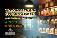Фотокезеңдік сұрыптармен маусымдық толықтыру!