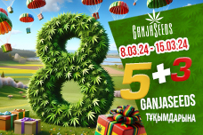 GanjaSeeds сидшопында көктемнің жеңісі!