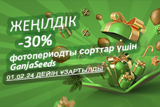 GanjaSeeds-те жаңа жылдық сатылым жалғасуда!