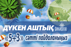 GanjaSeeds сидшопы енді АҚШ-та!