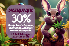GanjaSeeds-тен керемет жеңілдіктердің мерекелік ұсынысы!