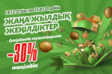GanjaSeeds-тен жаңа жылдық жеңілдіктер
