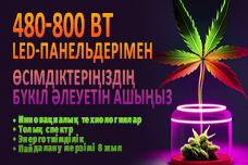 480-800 Вт жарықдиодты панельдер арқылы зауыттарыңыздың шынайы әлеуетін ашыңыз