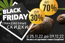 Қара жұма - каннабис тұқымдарына 70% дейін жеңілдіктер!